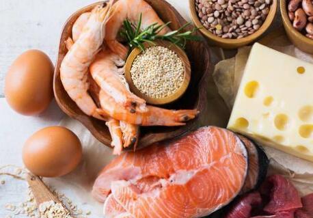 食品添加劑測定儀 食品添加劑測定儀